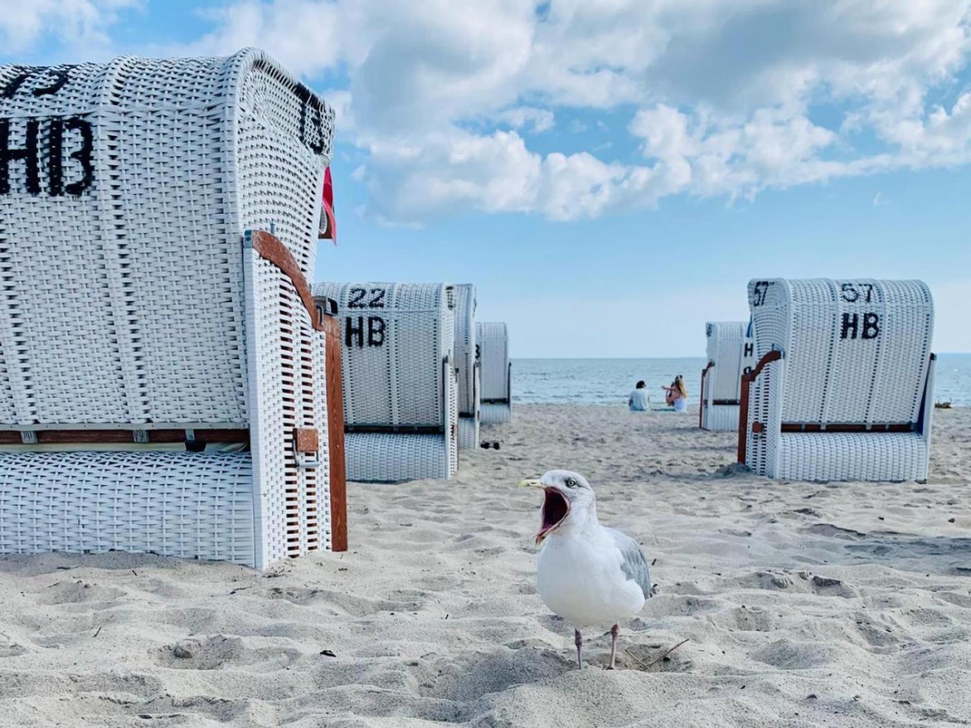 Ferienwohnung Strandstern 샬베우츠 외부 사진